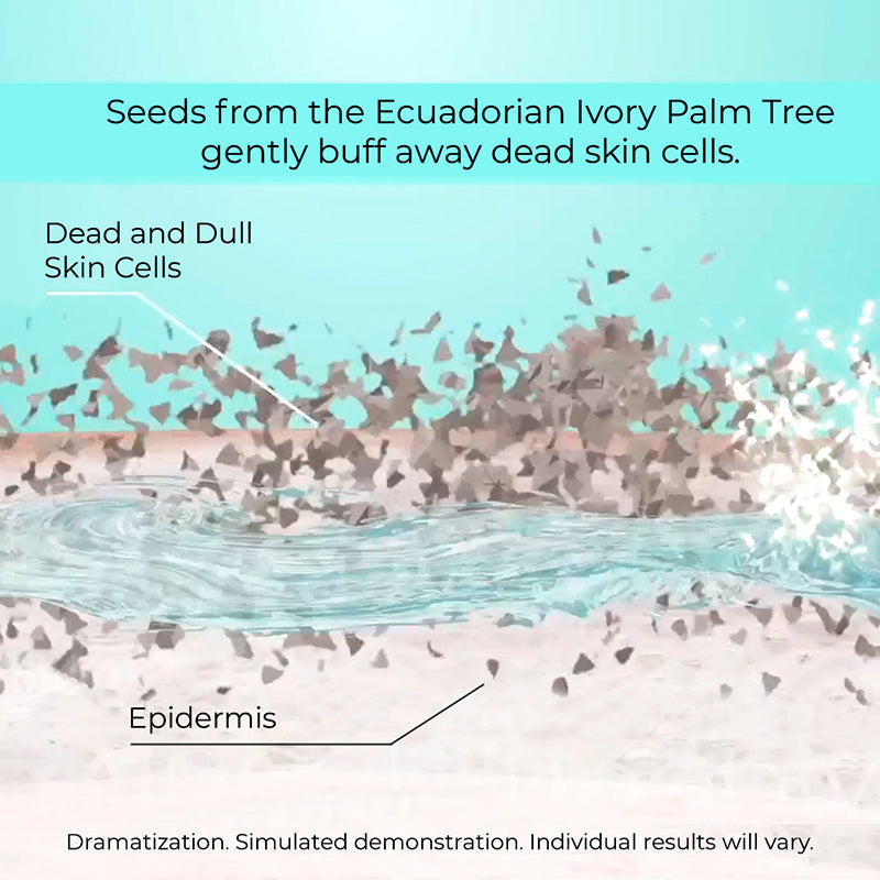 NassifMD Dermaceuticals™

Dawn to Dusk Exfoliate + Cleanse AM+PM Facial Cleanser