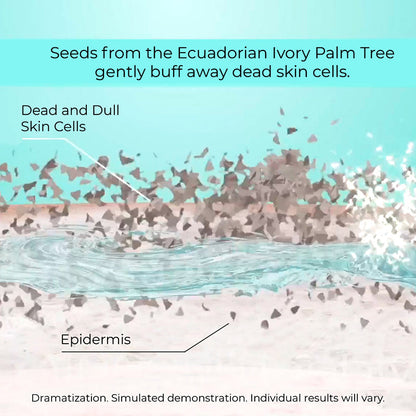 NassifMD Dermaceuticals™

Dawn to Dusk Exfoliate + Cleanse AM+PM Facial Cleanser